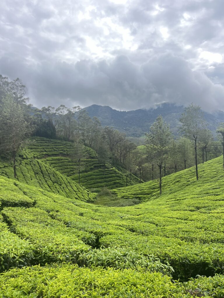 L’Inde, un territoire aux multiples facettes