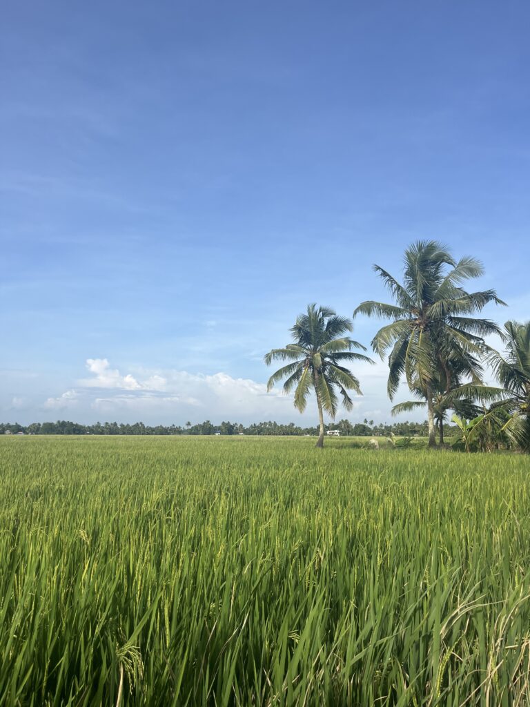 L’Inde, un territoire aux multiples facettes