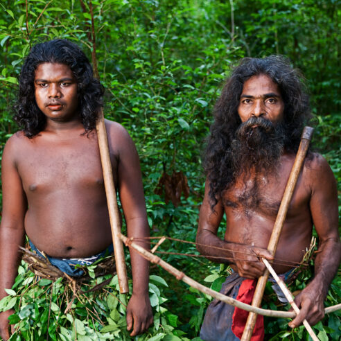 Nos expériences insolites au Sri Lanka