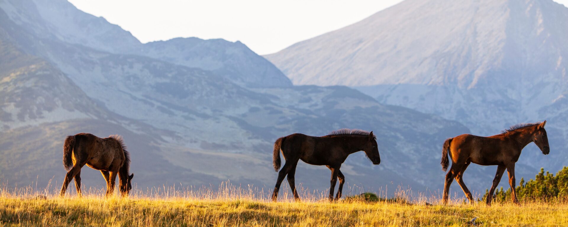 A cheval dans l’Isalo