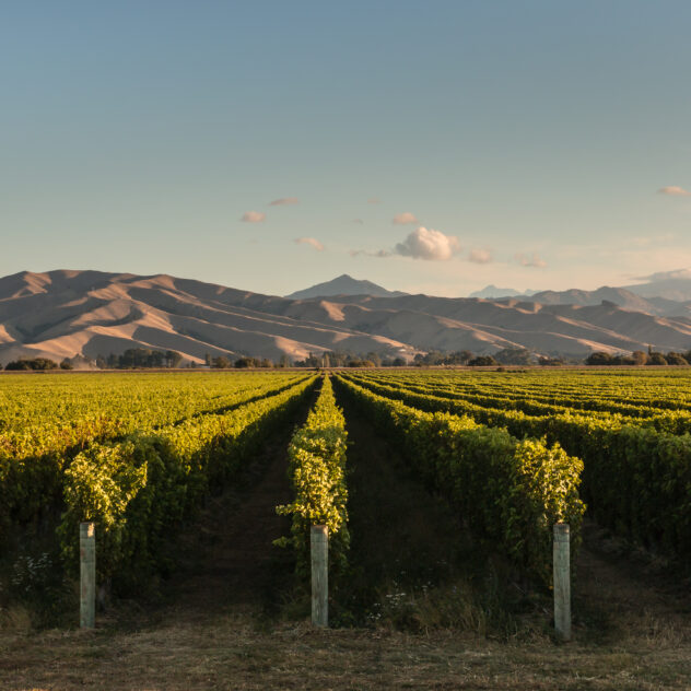 Nouvelle-Zélande : entre vignobles, lacs et fjords