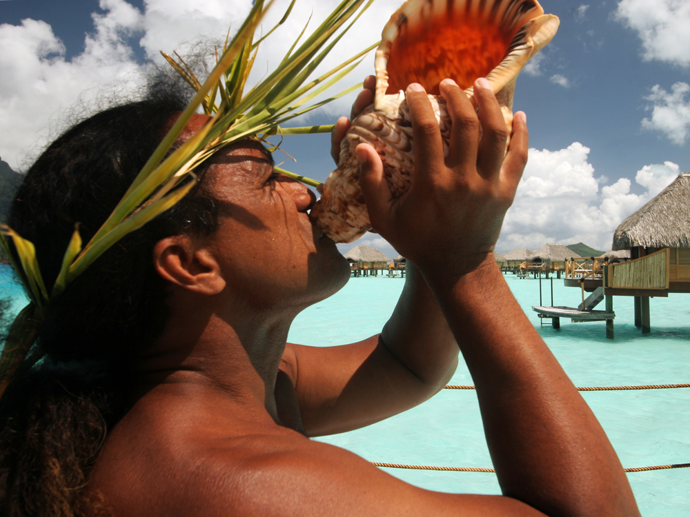 My Polynesian Life Tour (privé)