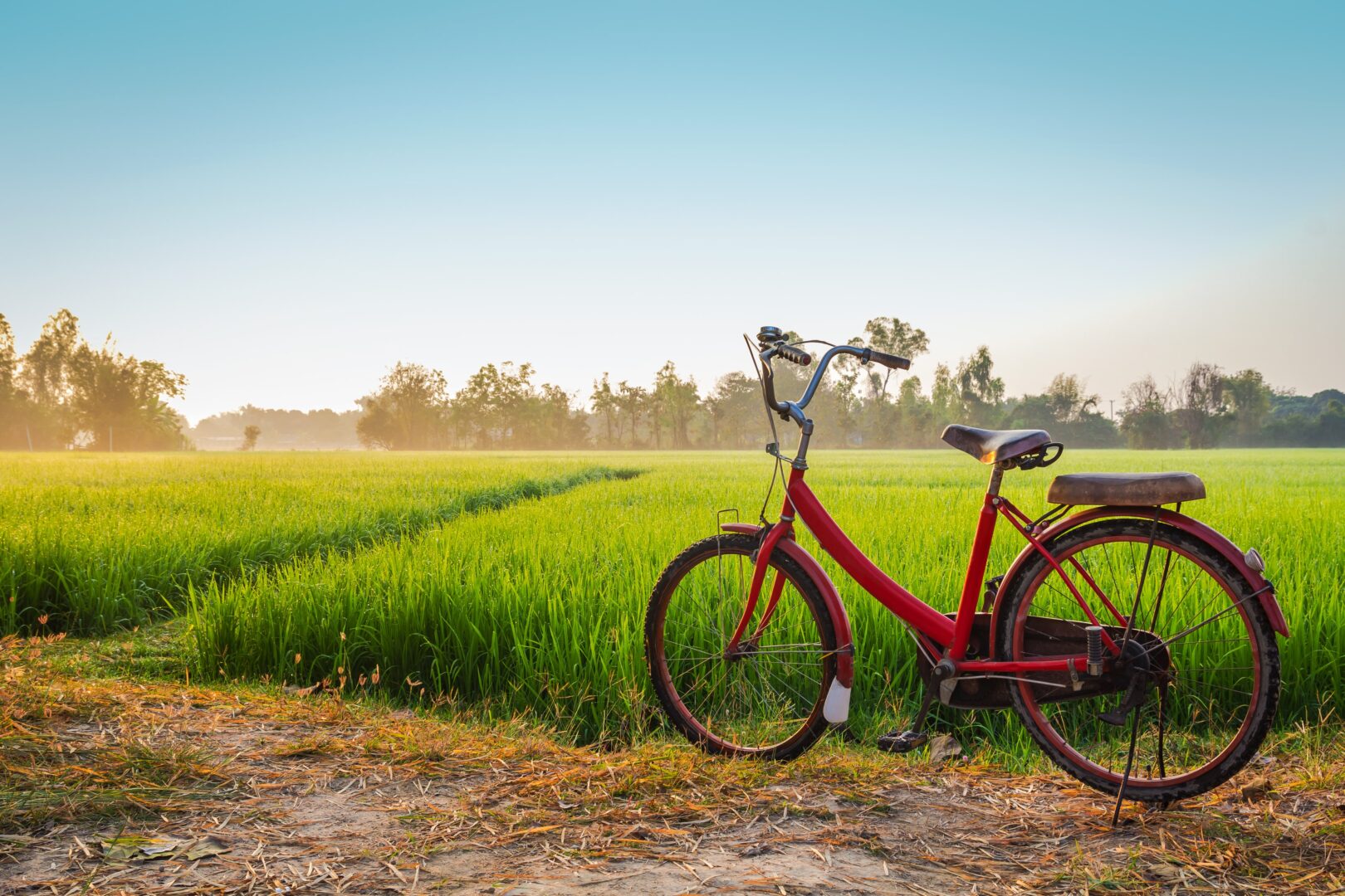 Balade à vélo « Colors of Chiang Mai » 