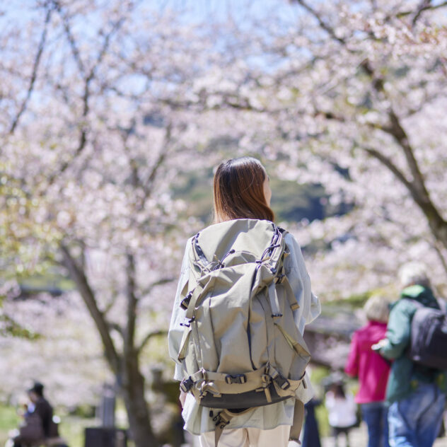 Japon 2025 : Entre tradition millénaire et innovation à l’Exposition Universelle d’Osaka