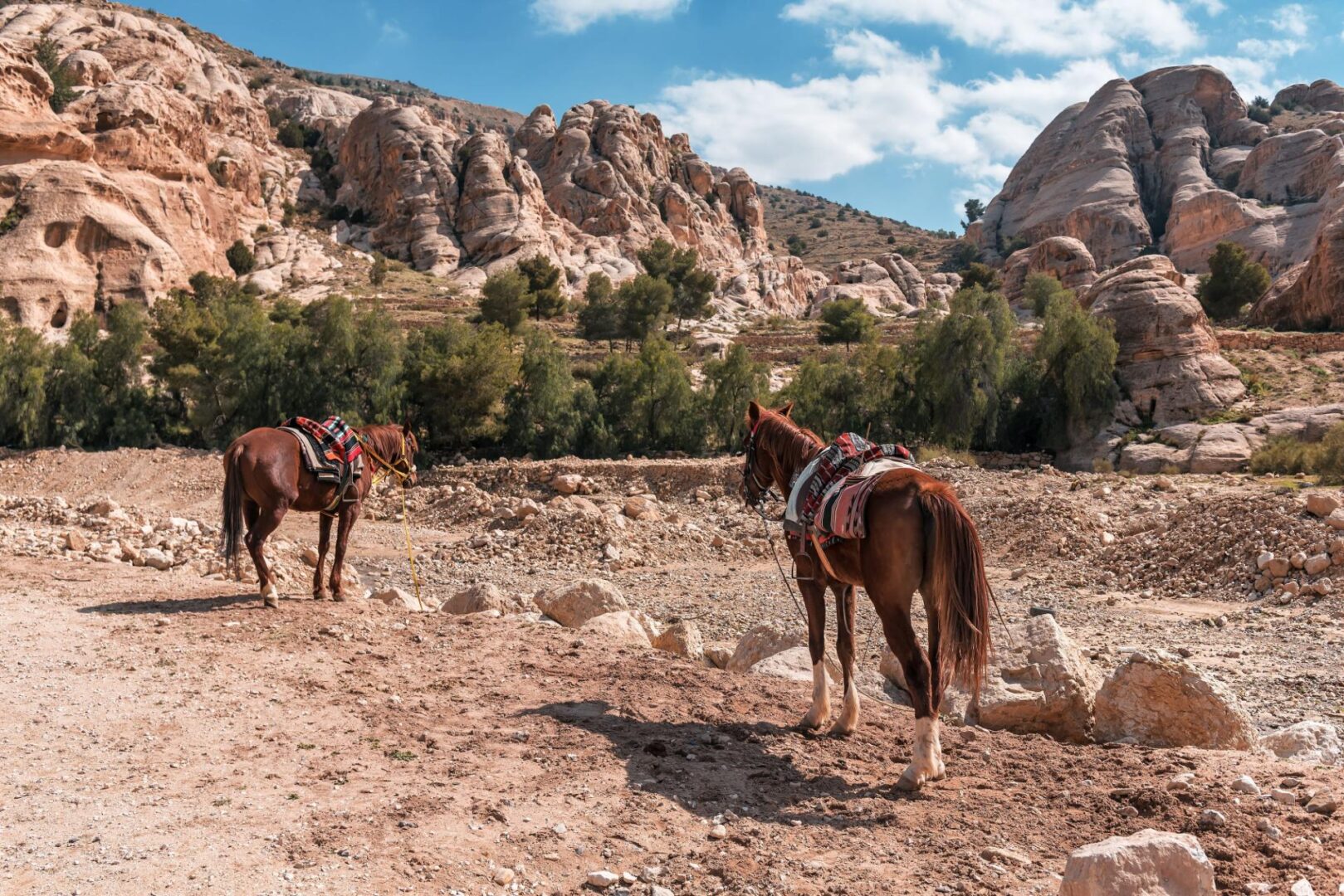 À cheval dans le Wadi Rum