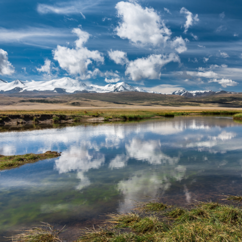 Nos expériences insolites en Mongolie