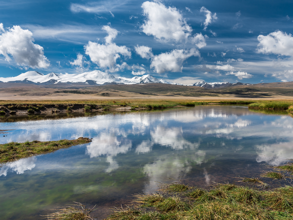Et au milieu coule la rivière