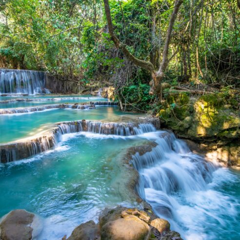 Nos expériences insolites au Laos