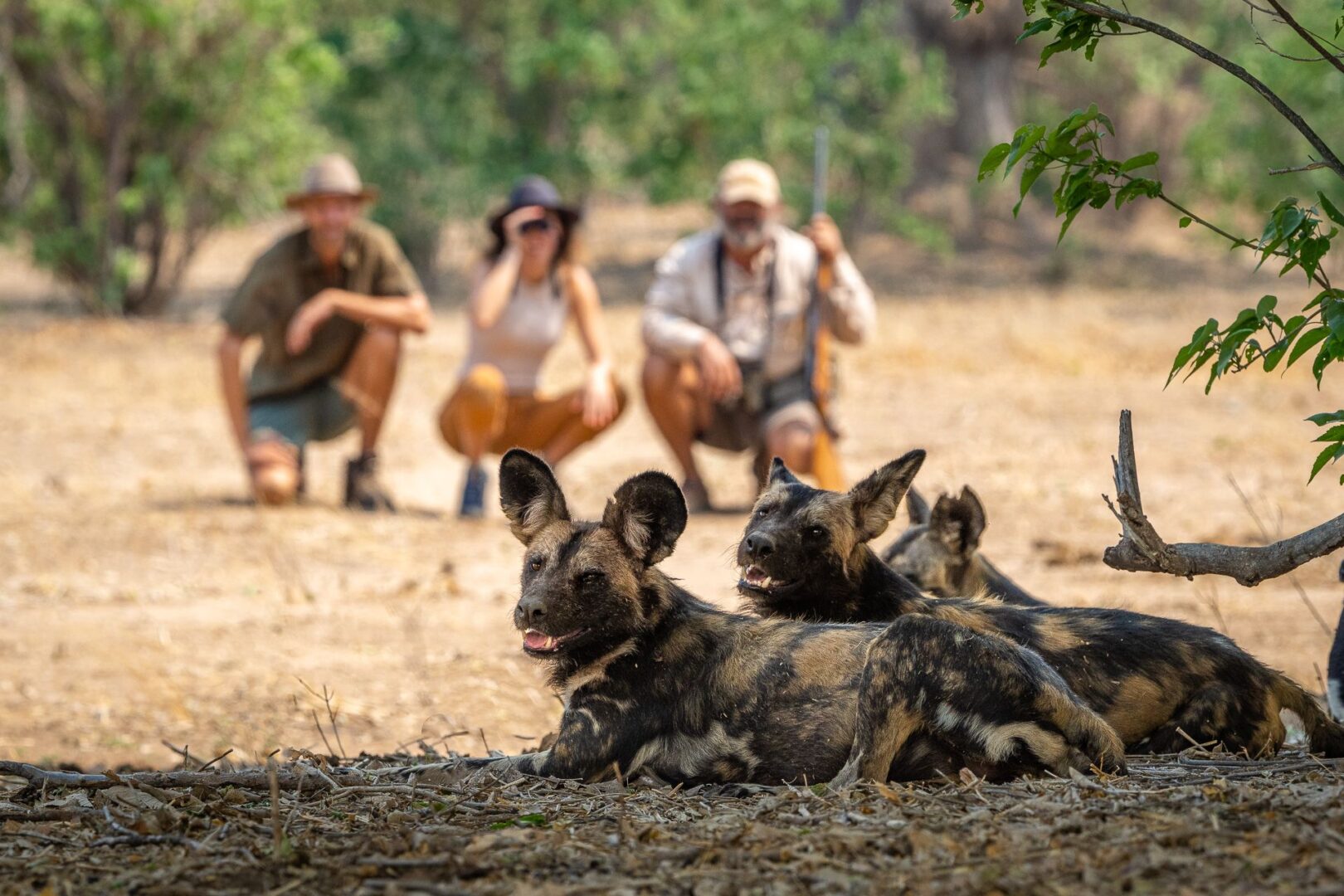 A pied dans le Mana Pools