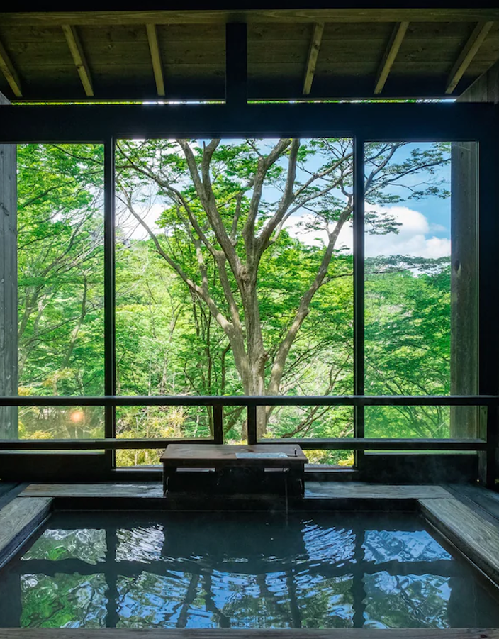 Kanazawa - Hakone : Entre détente et art en pleine nature