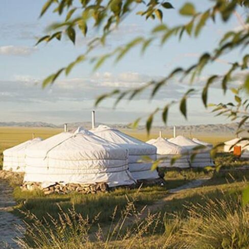 Mongolie