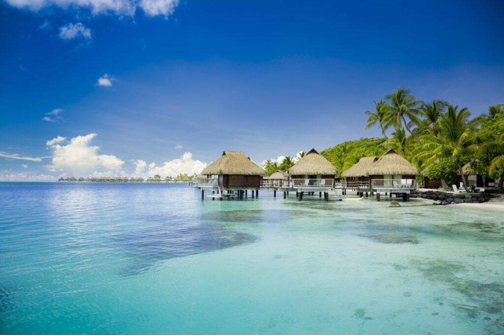 5 bonnes raisons de voyager aux Îles Australes