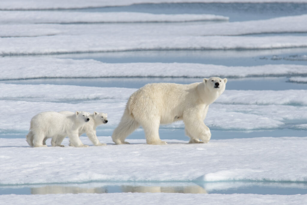 Où partir en hiver ? Nos 10 destinations préférées à la neige
