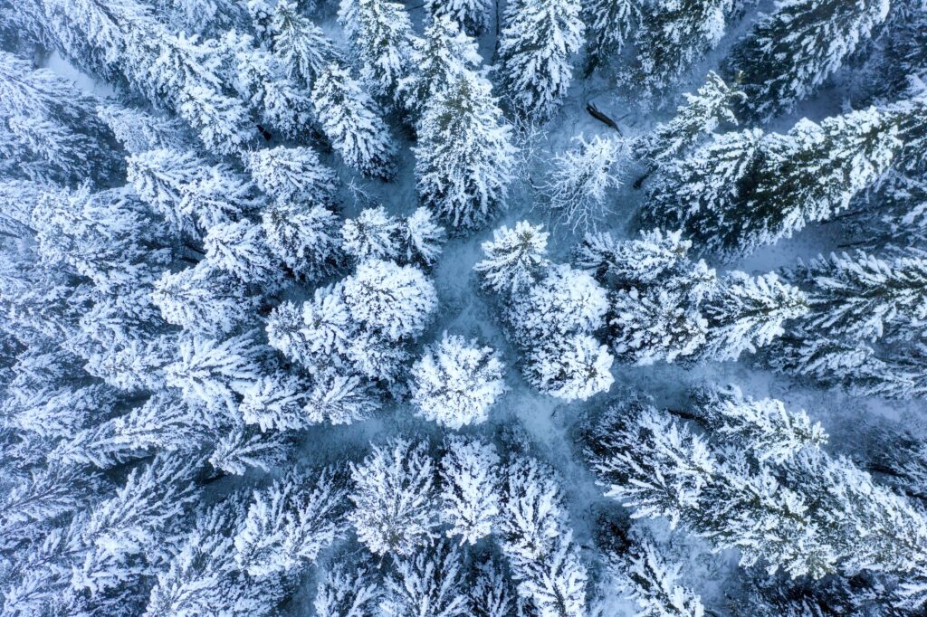 Où partir en hiver ? Nos 10 destinations préférées à la neige