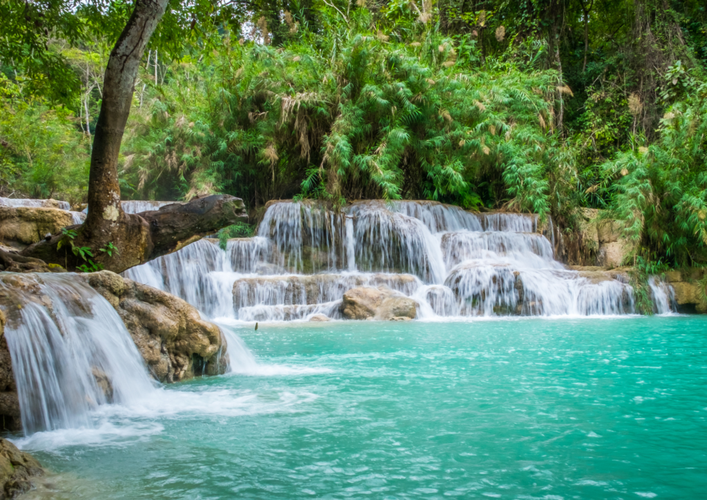Voyage en famille en Asie du Sud-Est