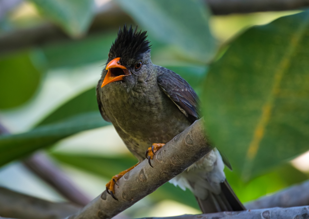 7 destinations au cœur de l’océan Indien