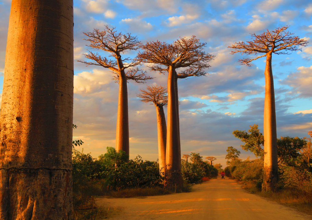 7 destinations au cœur de l’océan Indien