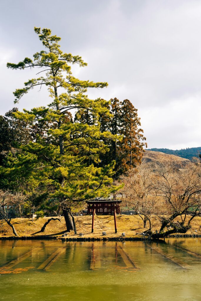 Voyage de groupe au Japon : Entre héritage et futur, à la découverte de l'Exposition Universelle 2025
