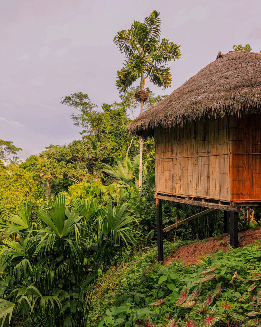 Parc Yasuni et immersion nocturne en Amazonie