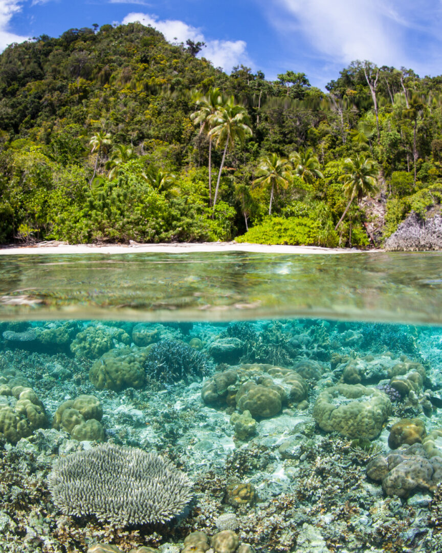 Danpulol bay - Wayil island