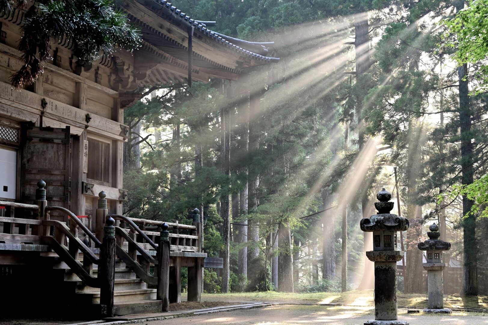 Les essentiels du Japon : villes trépidantes et randonnée aux pieds des Alpes japonaises