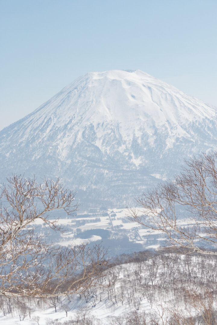 Sapporo : entre culture et festivités