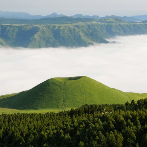 Nos expériences insolites au Japon