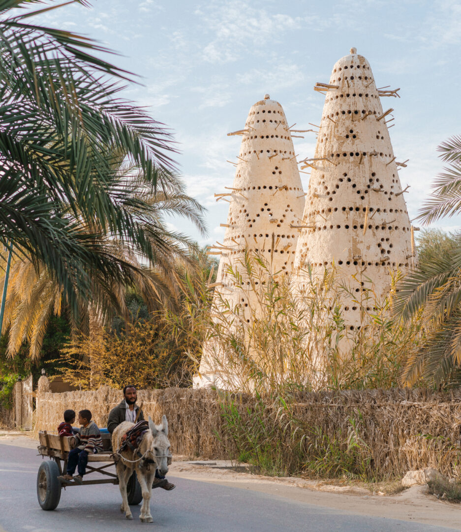 Alexandrie - Siwa : Cap sur l’oasis sacrée