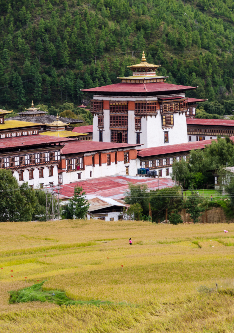 Thimphu – Paro : Retrouvailles avec la vallée du commencement