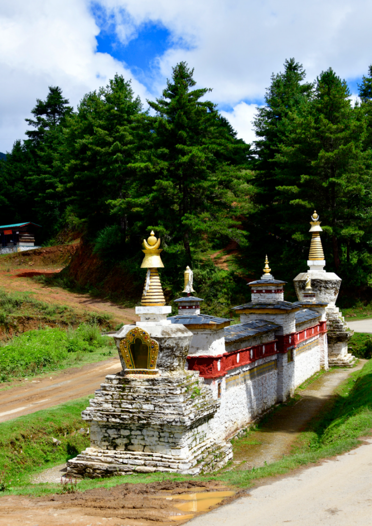 Trongsa – Gangtey : Dans la vallée des grandes migrations