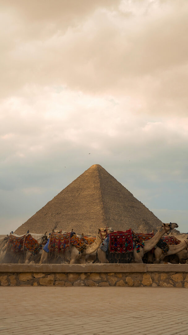Le Caire : Hiéroglyphes, rencontres et trésors du musée