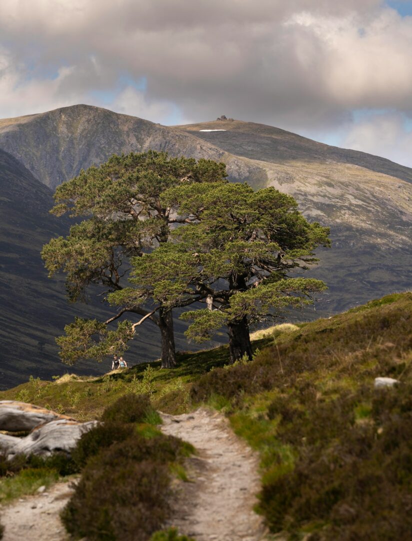 Île de Harris et Lewis – Perthshire : Traversée des Highlands