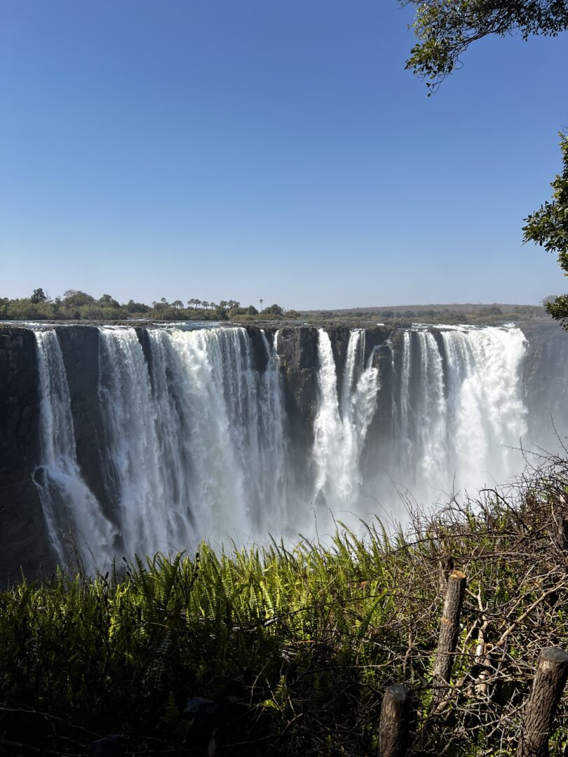 Parc National de Hwange – Chutes Victoria : Là où le fleuve plonge