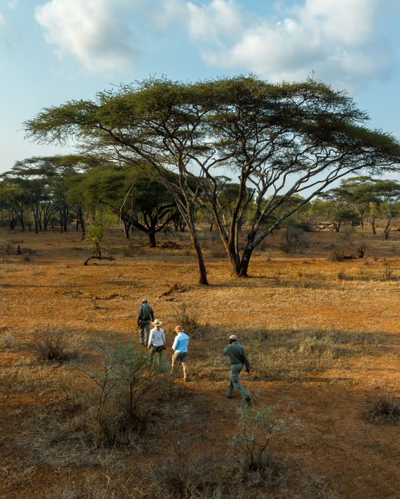 Malilangwe – Mana Pools : Escale vers les rives sauvages