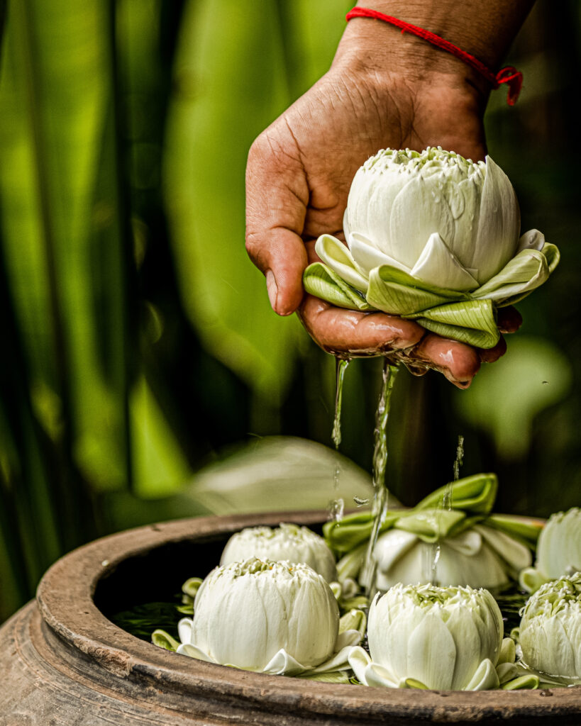 Voyage bien-être : 6 escales pour se reconnecter à soi