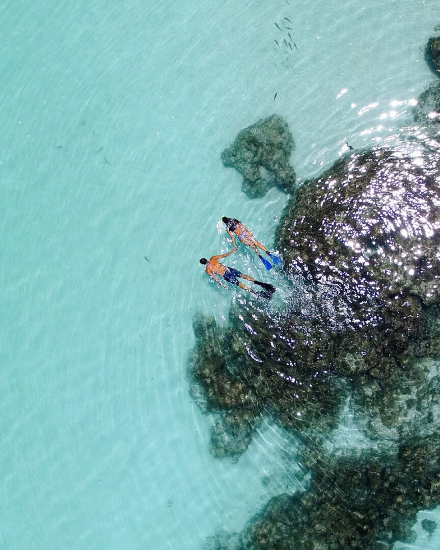 Tikehau : Lagon infini, moments suspendus 