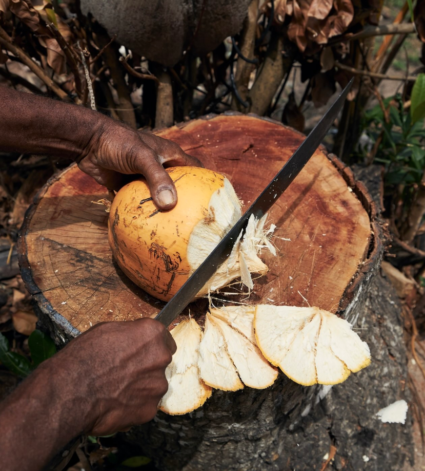 Tahiti : Culture et derniers instants 