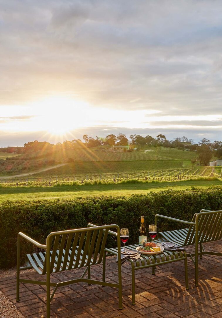 Barossa Valley : Entre vignes et gastronomie