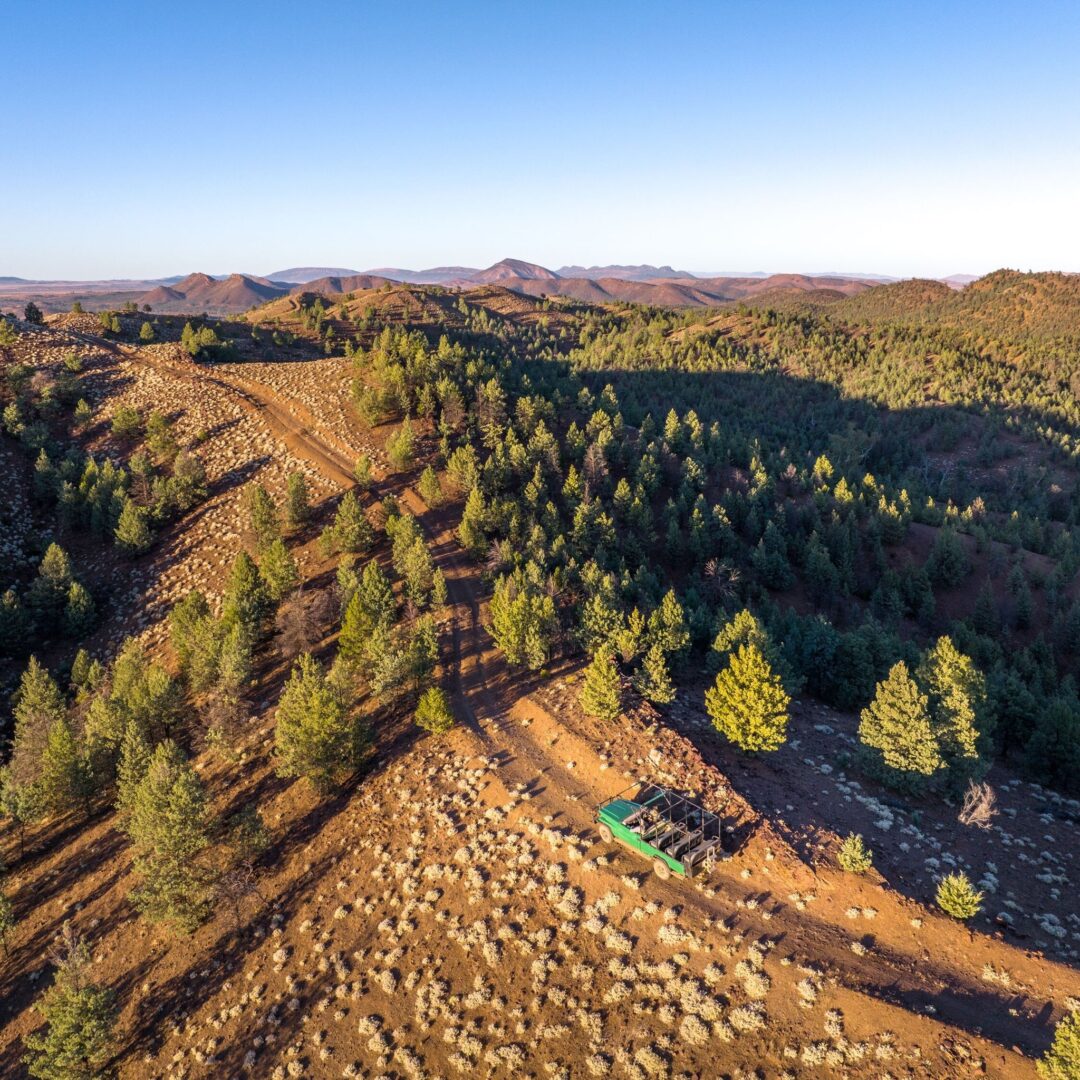 Flinders Ranges : Entre terre et ciel