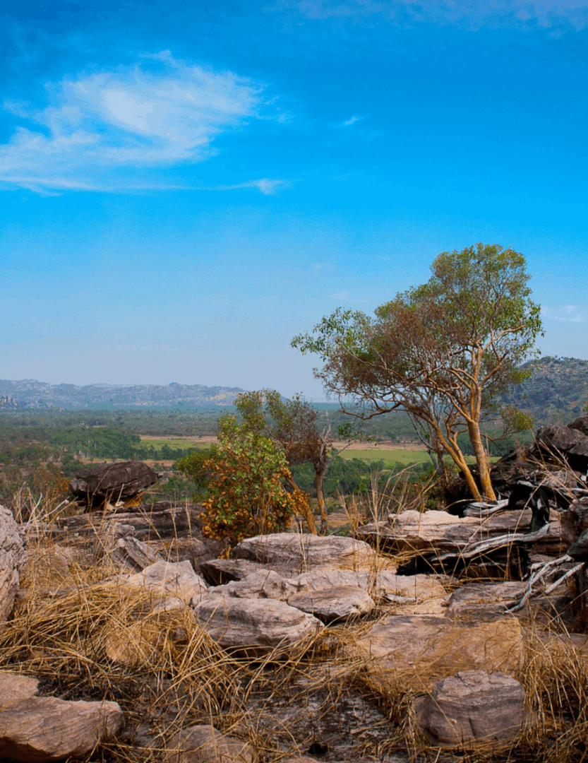 Terres d’Arnhem : Exploration et détente
