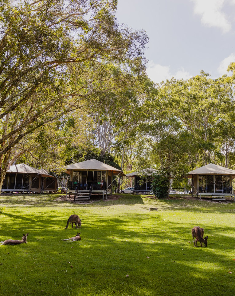 Sunshine Coast : Séjour dans les Everglades australiens