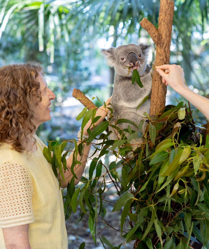 Brisbane : Croisière et sanctuaire animalier