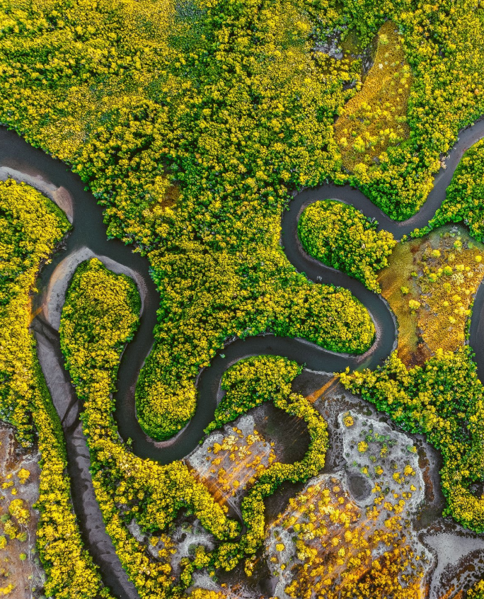 Noosa : Exploration des Everglades