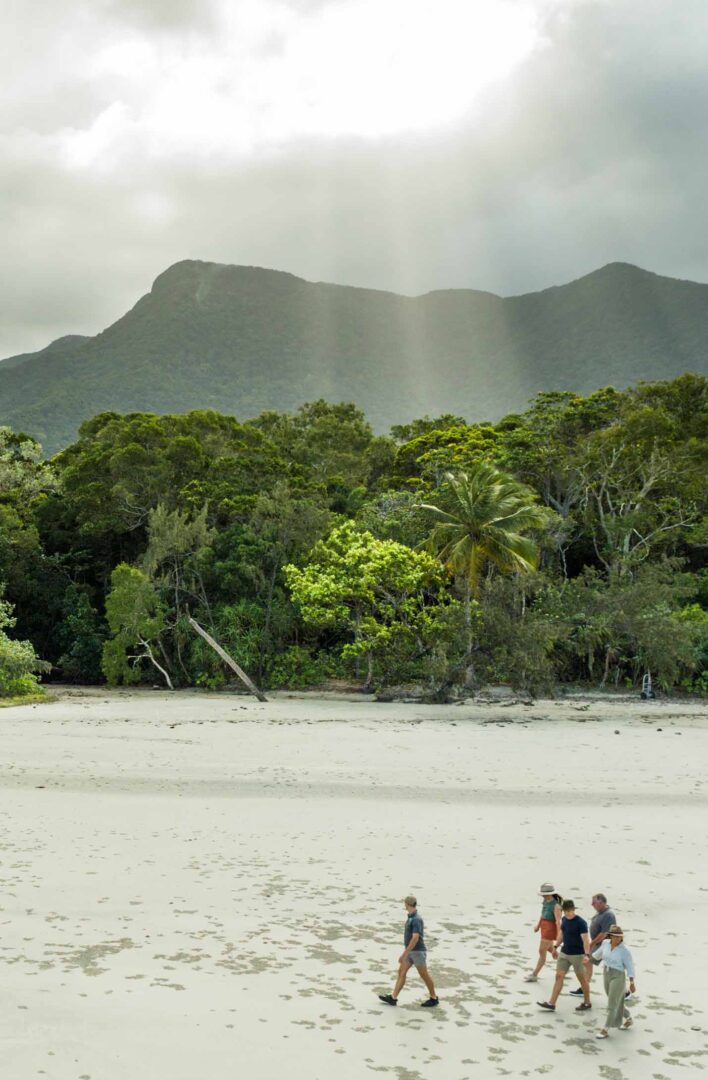 Mossman Gorge : Récits aborigènes et traditions vivantes 