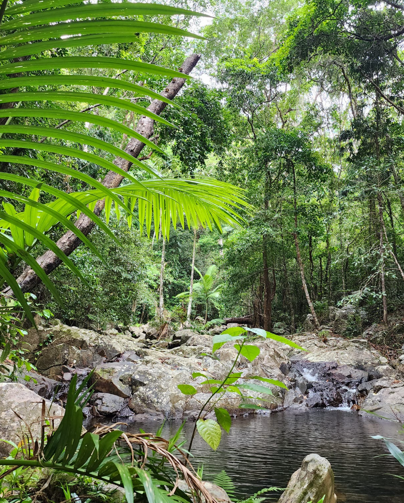 Cooktown : Escale historique et nature tropicale 