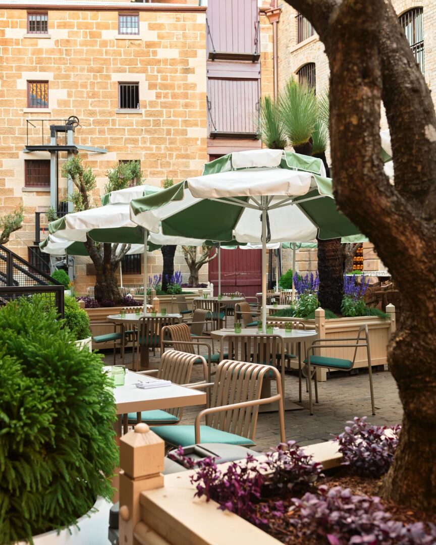 Ayers Rock – Kata Tjuta – Sydney : Levers de lumière et envol urbain 