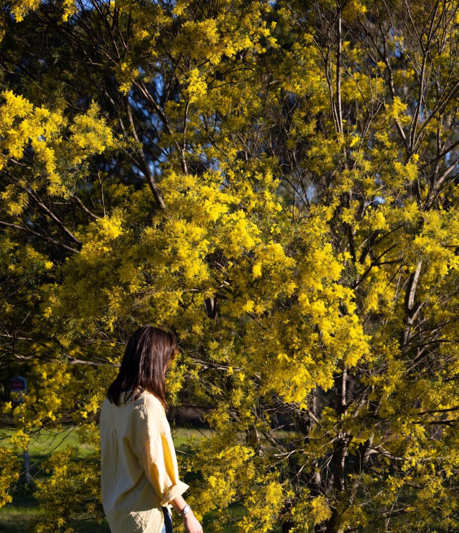 Sydney : Journée libre au rythme de la ville 