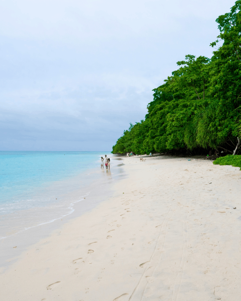Où fêter le Nouvel An 2026 ?
