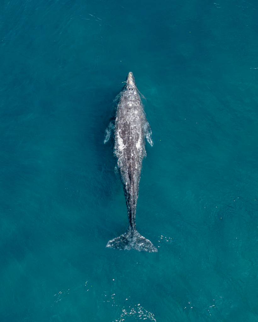 Où fêter le Nouvel An 2026 ?