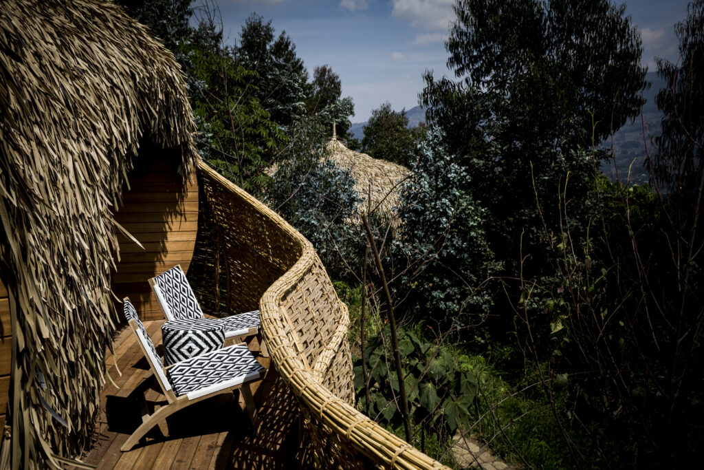 Voyage au Rwanda près des gorilles : souvenirs de notre Travel designer